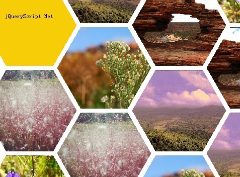 jQuery Plugin For Responsive Hexagon Grid Layout - Honeycombs