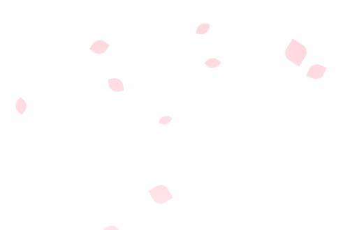 jQuery Plugin For Sakura Petals Falling Animation - Sakura