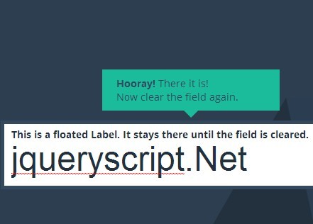 jQuery Plugin For Text Field Float Label - floatlabels.js