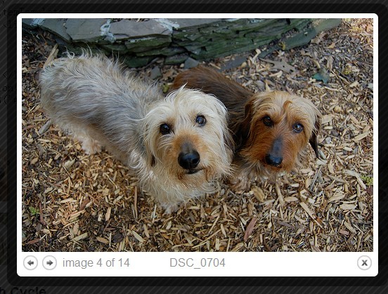 jQuery Plugin To Display Flickr Images On The Webpage - jflickrfeed