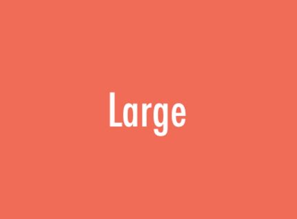 jQuery Plugin To Load Correct Image Based On Viewport Size - Responsive Images