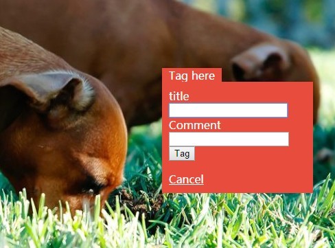 jQuery Plugin To Tag Photos & DIVs - Image Tag