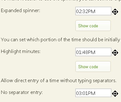 jQuery Plugin for Input Field Time Format and Spinner - Time Entry