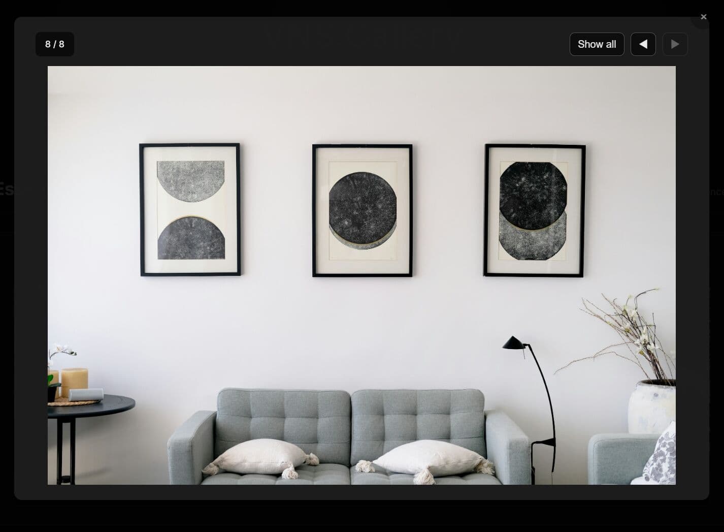 jQuery Image Gallery with Lightbox, Carousel, and Grid - VNS.Gallery