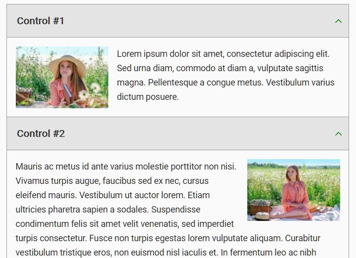 Minimal Accordion/Sliding Box Plugin - Accordion.js