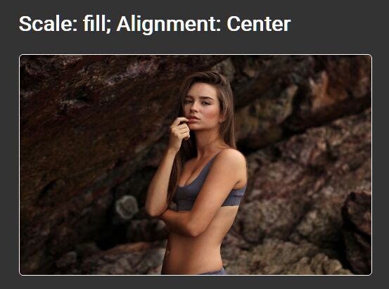 Scale & Align Images To Fit Their Parent Containers - Image Scale