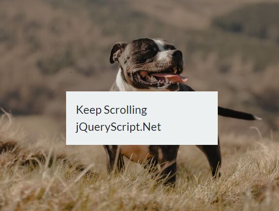 jQuery scroll animation Plugins | jQuery Script