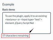 Accessible Character Counter Plugin For Text Field