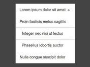 Accessible Custom Select Box Plugin With jQuery - Selectivo.js