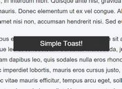 Android Style Toaster Plugin with jQuery - Material Toast