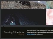 Animated Panning Image Slideshow With jQuery - animatedPanelSlideshow