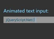 Animated Text Input With jQuery and CSS3 Transforms