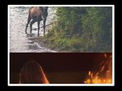 Automatic Image Carousel With jQuery - mSlide.js