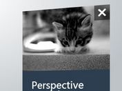 Create A 3D Perspective Modal Window with jQuery and CSS3