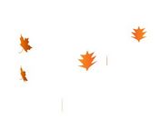 Creating 3D Leaves Falling Effect with jQuery and CSS3