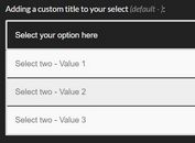 Creating Custom Select Options With jQuery - custom-select