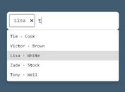 <b>Dynamic Autocomplete & Multi-select Plugin With jQuery - magicsearch</b>