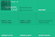 Dynamic Grid Layout with Awesome Transition Effects