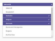 Dynamic Multi-select Dropdown Plugin - jQuery Multi Select