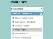 Easy Filterable Multi Select Plugin With jQuery - filterselector