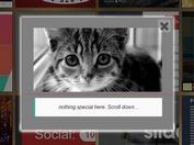 Facebook Photo Gallery Plugin With jQuery - fbGallery