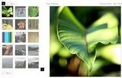 Fast Performing Photo Gallery Plugin - Galleriffic