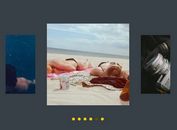 Feature-rich Mobile-friendly Slider Plugin For jQuery - fSlider
