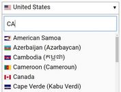 Filterable Country & Continent Picker For jQuery - niceCountryInput