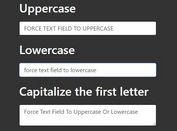 Force Text Field To Uppercase Or Lowercase - input-case-enforcer