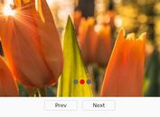 Full Width Responsive Banner Slider With jQuery - slider-plugin.js
