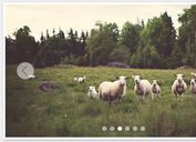 <b>Full-featured jQuery Content / Image Slider Plugin - jSlider</b>