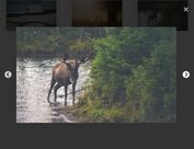 Responsive Gallery Lightbox With jQuery And Slick.js - slick-lightbox