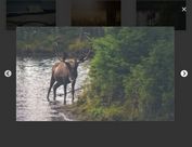 Bootstrap modal Bootstrap modal