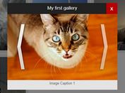 Adaptive Gallery lightbox Plugin For jQuery - easyJqueryGallery