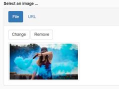 Image Upload Preview Plugin With jQuery And Bootstrap - img-upload