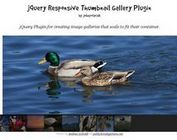 Johnpolacek Responsive Gallery Plugin with Thumbnail