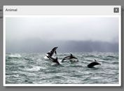 Lightweight Multi Purpose jQuery Modal Plugin - simplemodal