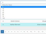 Minimal Bootstrap Table Pagination Plugin With jQuery - Pagination Tables