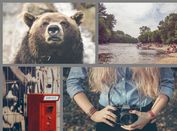 Minimal Responsive Photo Gallery Plugin For jQuery - xGallerify