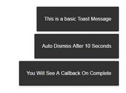 Mobile Friendly Material Toast Plugin With jQuery - Toast.js