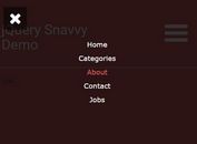 Mobile-first Fullscreen Navigation Plugin With jQuery - Snavvy