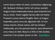 Customizable Multi-line Text Ellipsis Plugin - jQuery vEllipsis