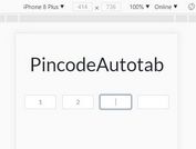 User-friendly Pincode Plugin With Auto Tab - jQuery PincodeAutotab
