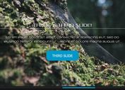 Responsive Dynamic Content Slider With jQuery