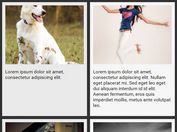 Responsive Equal Height Grid Layout Plugin For jQuery - Wrecker