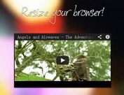 Responsive and Fluid YouTube Videos - fluidvids.js