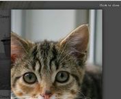 Simple HTML5 Lightbox Plugin with jQuery - h5-lightbox