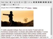 Simple Html WYSIWYG Editor Plugin with jQuery - Cazary