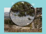 Simple Yet Versatile jQuery Image Magnifying Plugin - Zoomple