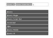 Simple jQuery Tagging & Tokenizer Input with Autocomplete - Tokens